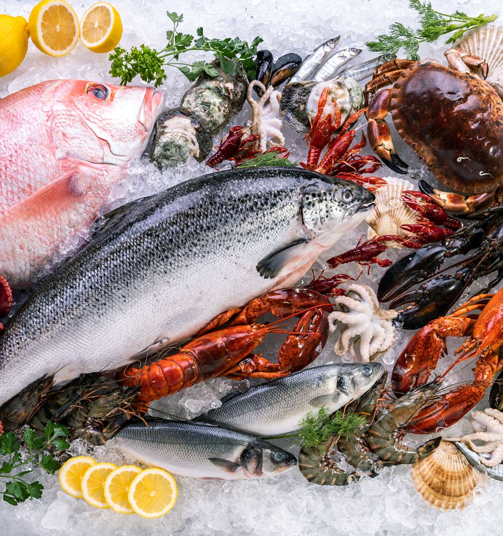 Proveedores de marisco y pescado