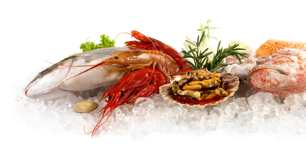 Proveedores de marisco y pescado